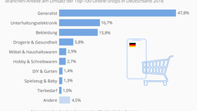 Hauptproduktsegmente bei den Top-100-Online-Shops