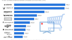 Ranking der größten Online-Shops in der Schweiz 2018