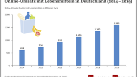 Online-Umsatz mit Lebensmitteln