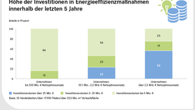 Höhe der Investitionen in Energieeffizienzmaßnahmen