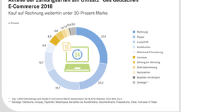 Umsatzanteile der Zahlungsarten am Gesamtumsatz im Online-Handel 