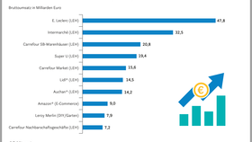 Infografik: Ranking der umsatzstärksten Vertriebslinien in Frankreich