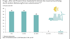Substitution des Gasbedarfs im deutschsprachigen Handel (2022)