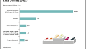 Top 5 der größten Schuhhändler in Deutschland nach Umsatz (2021)