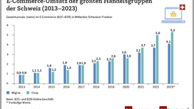 E-Commerce-Umsatz der größten Handelsgruppen der Schweiz (2013-2023)