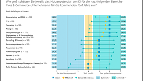 Nutzenpotenzial von Künstlicher Intelligenz (KI) in den verschiedenen Bereichen der E-Commerce-Handelsunternehmen für die kommenden fünf Jahre (2023-2028)