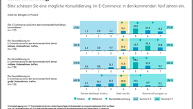 Mögliche Konsolidierung im E-Commerce in den kommenden fünf Jahren nach Branchen (2023-2028)