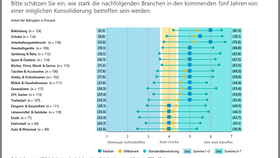 Mögliche Konsolidierung im E-Commerce in den kommenden fünf Jahren nach Branchen (2023-2028)