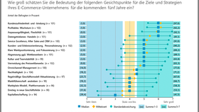 Wichtige Gesichtspunkte für die Ziele und Strategien der E-Commerce-Unternehmen in den kommenden fünf Jahren (2023-2028)