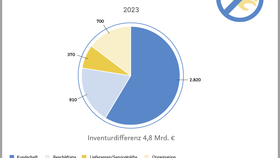 Anteile der Inventurdifferenzen in Deutschland nach Verursachergruppen (2023)