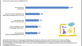Top 5 der umsatzstärksten Online-Shops mit Hauptsegment Bekleidung in Deutschland (2023)
