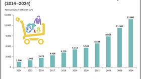 Umsatzentwicklung des Nonfood-Discounters Action in Europa (2014–2024)