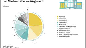 Branchenmix in Shopping-Centern nach Anzahl der Mietverhältnisse insgesamt (2025)