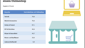 Anteil der Vertriebslinien mit einem Online-Shop (2025)