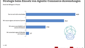 Strategie beim Einsatz von Agentic-Commerce-Anwendungen (2026)